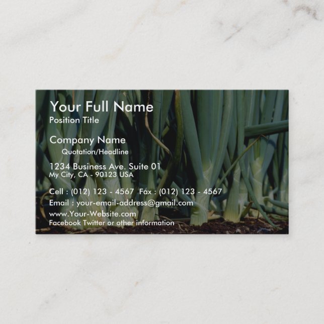 Lökar storslagen krökning, Ontario, Kanada Visitkort (Framsida)