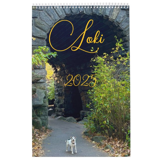 Loki 2025 kalender (Omslag)