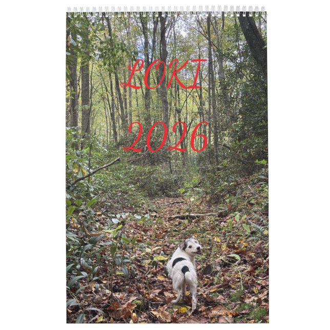 loki 2026 kalender (Omslag)