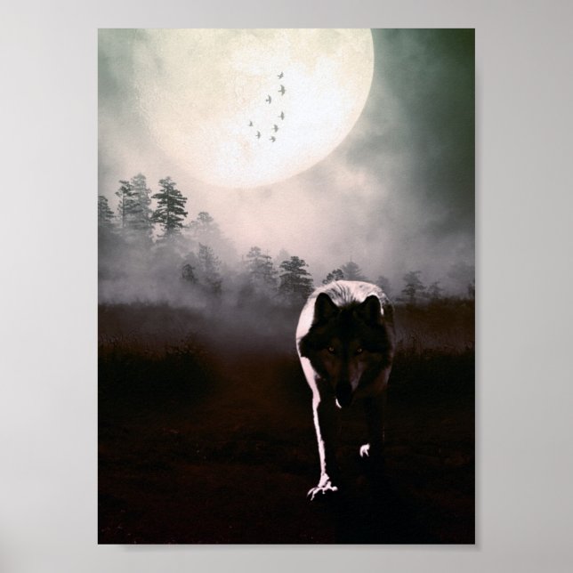 loki wolfdog 2 poster (Framsidan)