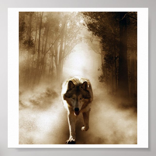 Loki wolfdog poster (Framsidan)