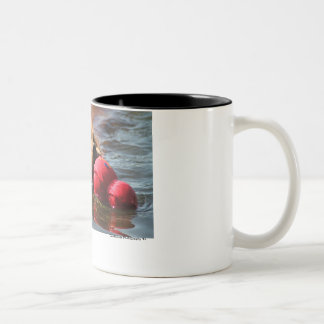 Lokien "FICK JAG DENNA ", Två-Tonad Mugg