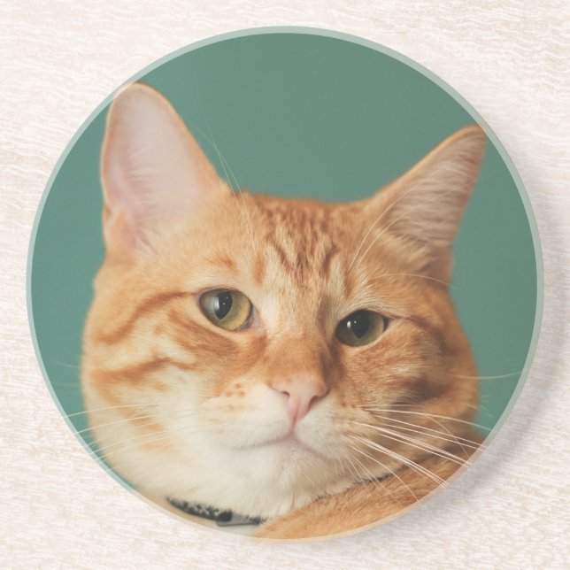 Lokis bäst sida underlägg sandsten (Framsidan)