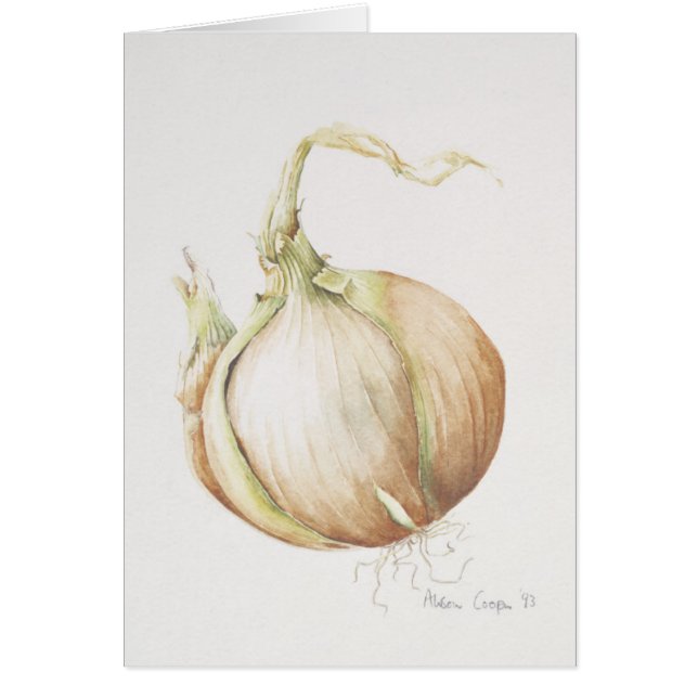 Lökstudie 1993 hälsningskort (Framsidan)