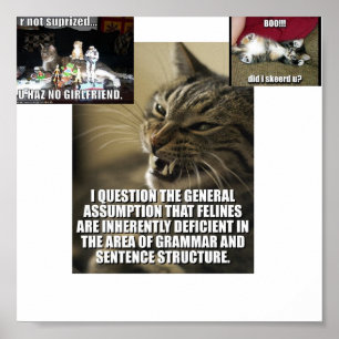 lol-catz-strejka-back, boo-do-i-skeerd-u_jpg_th.. poster