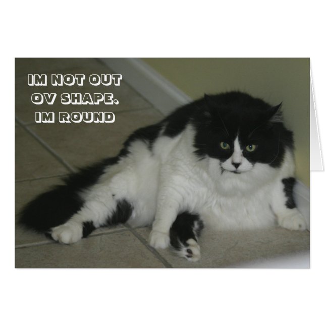 LOL Katt-kort Hälsningskort (Framsidan Horizontal)