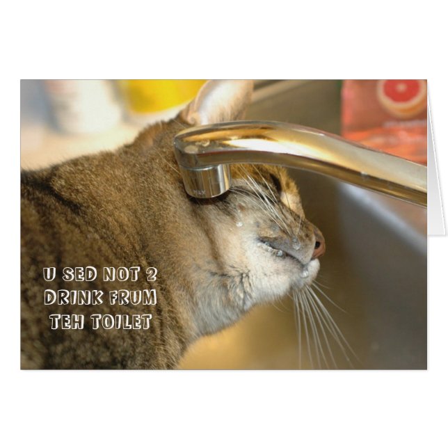 LOL Katt-kort Hälsningskort (Framsidan Horizontal)