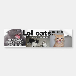 Lol katter bildekal