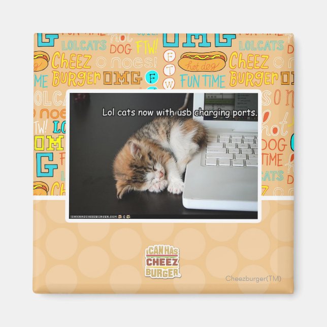 Lol-katter med USB Magnet (Framsidan)