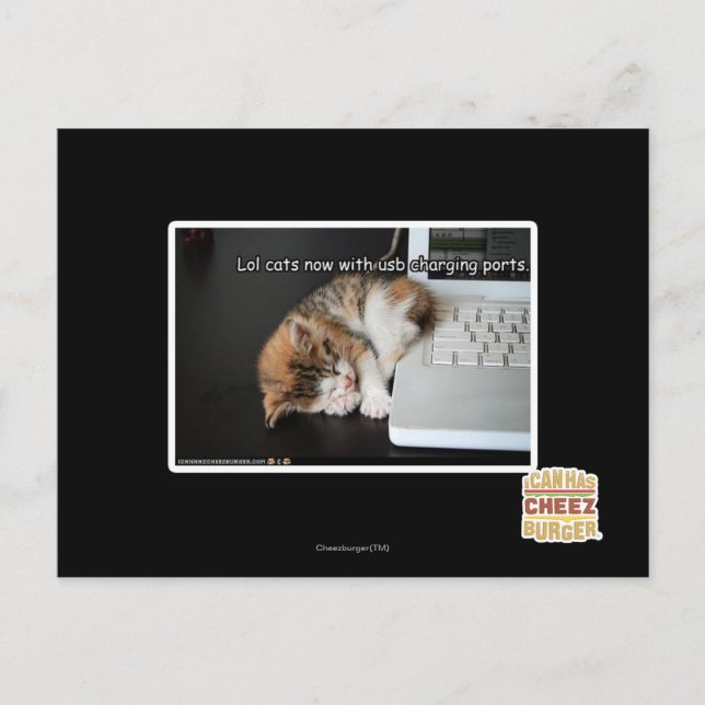 Lol-katter med USB Vykort (Framsida)