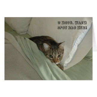 LOL-kattkort Hälsningskort