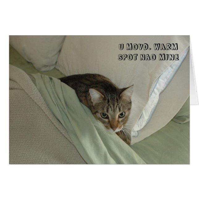 LOL-kattkort Hälsningskort (Framsidan Horizontal)