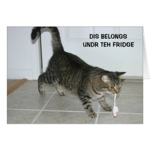 LOL-kattkort Hälsningskort