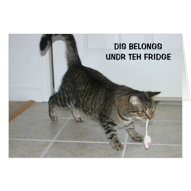 LOL-kattkort Hälsningskort (Framsidan Horizontal)