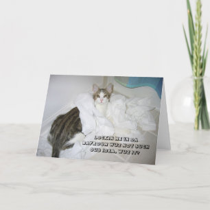LOL-kattkort Kort