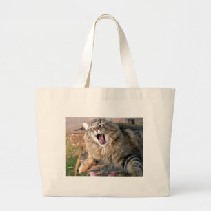 LOL Maine Coon Jumbo Tygkasse