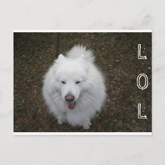 LOL VYKORT (Framsida)