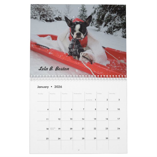 Lola B. Boston 2015 kalender (Jan 2026)