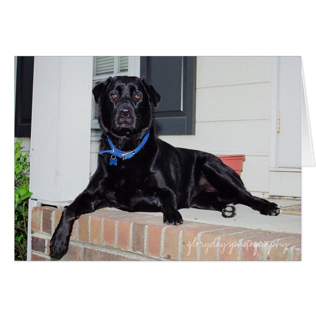 Lola, glorydaysphotografi hälsningskort (Framsidan Horizontal)