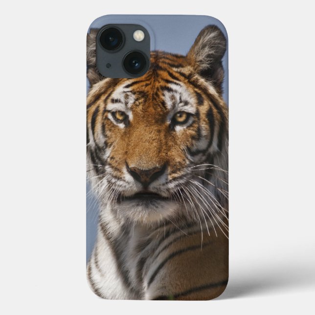 Lola iPad Case (Baksida)