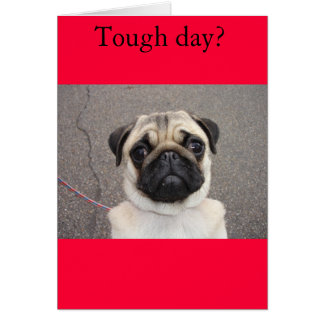 Lola känner din smärta hälsningskort