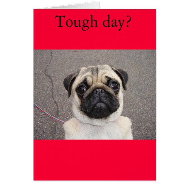 Lola känner din smärta hälsningskort (Framsidan)