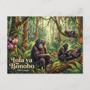 Lola ya Bonobo Sanctuary Vykort