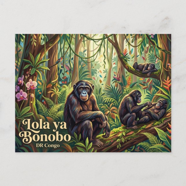 Lola ya Bonobo Sanctuary Vykort (Framsida)