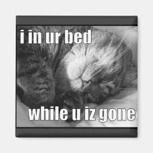 LOLCat 1 Magnet