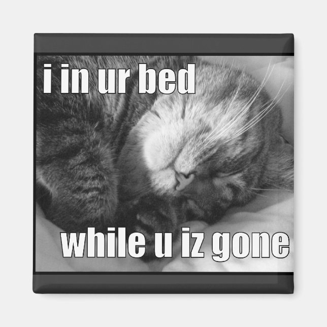 LOLCat 1 Magnet (Framsidan)