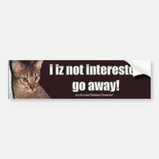 LOLCat 3 bildekal
