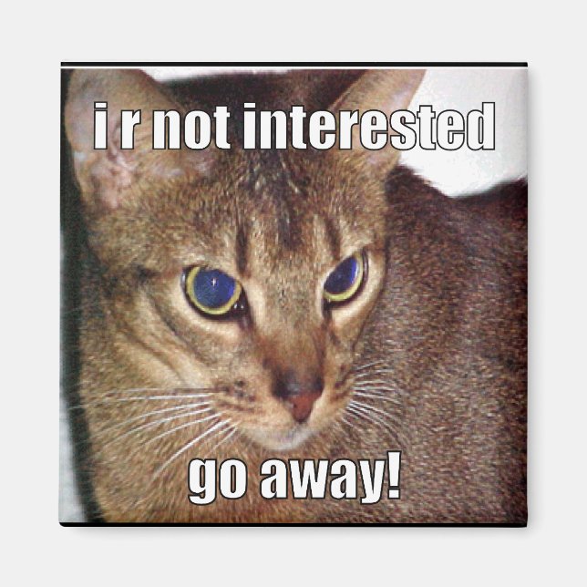 LOLCat 3 Magnet (Framsidan)