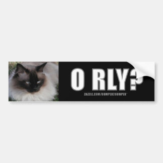 LOLCat 4 bildekal