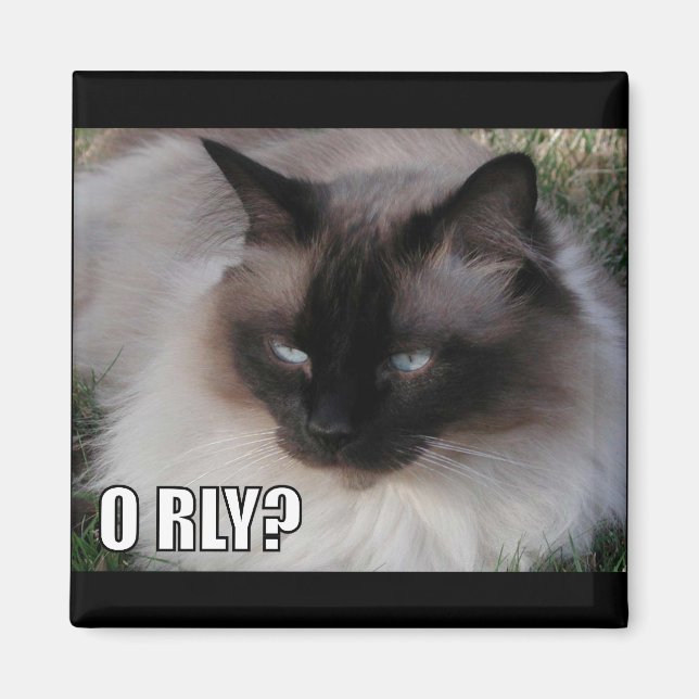 LOLCat 4 Magnet (Framsidan)