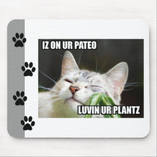 LOLCat Sassy Mousepad Musmatta