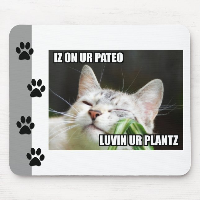 LOLCat Sassy Mousepad Musmatta (Framsidan)