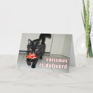 lolcatjulkort helgkort