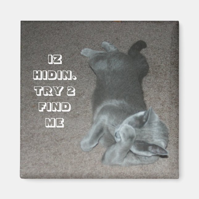 lolkatt magnet (Framsidan)