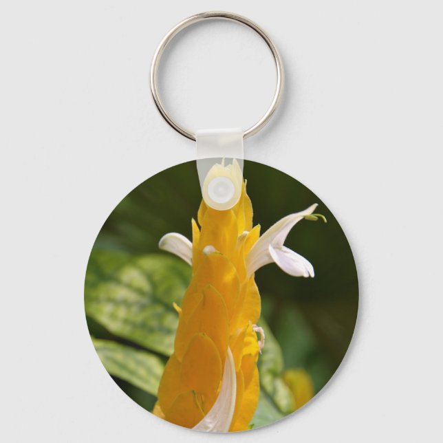 Lollipop-nyckelkedja Nyckelring (Framsida)