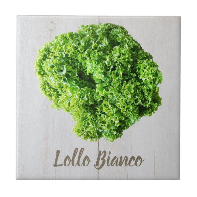 Lollo Bianco Salad salltuce löv for Vegans Kakelplatta (Framsidan)