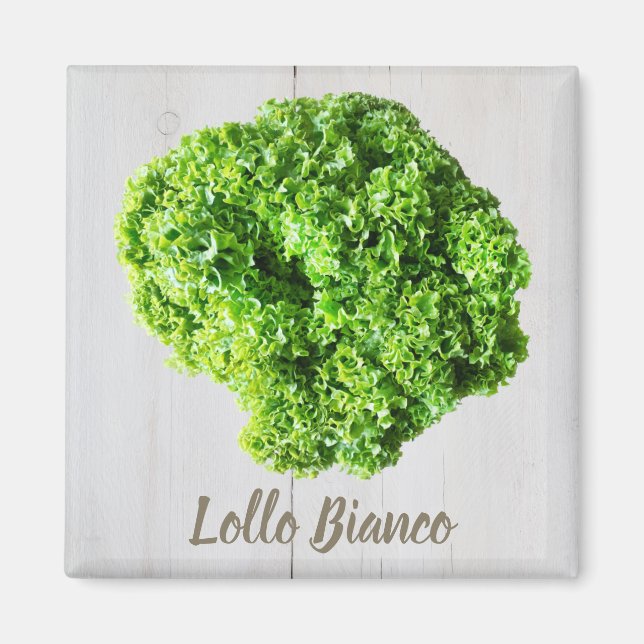 Lollo Bianco Salad salltuce löv for Vegans Magnet (Framsidan)