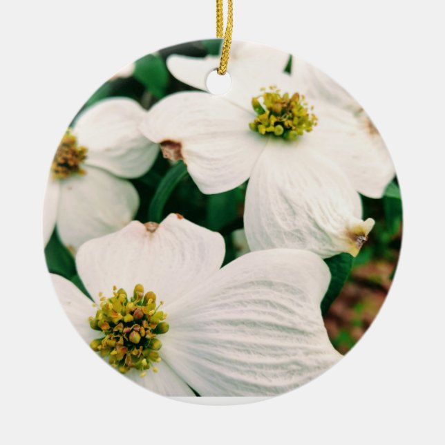Lolly Dogwood Julgransprydnad Keramik (Framsidan)