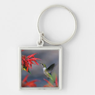 Lolly Hummingbird Fyrkantig Silverfärgad Nyckelring