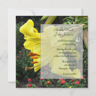 Lolly Lilly Wedding-inbjudan Inbjudningar