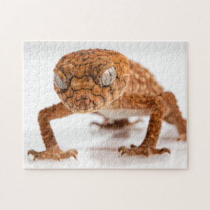 Lolly Lizard Glaring Gecko Photo Puzzle Pussel