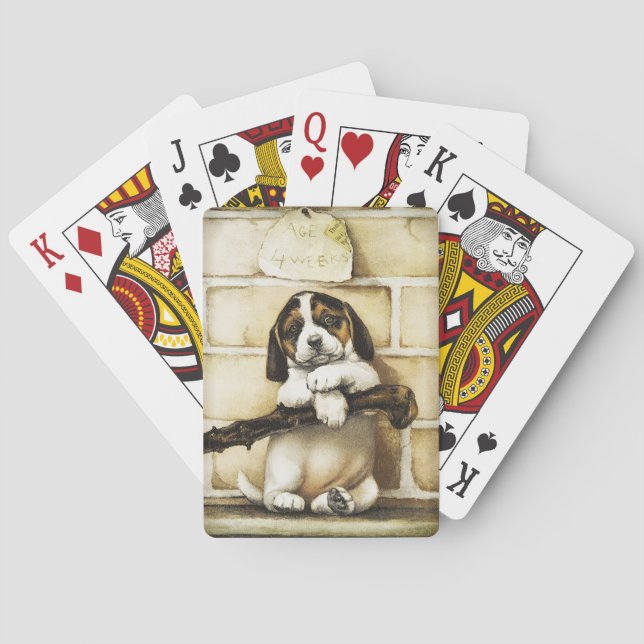 Lolly Puppy Casinokort (Baksidan)