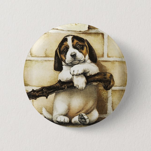 Lolly Puppy Knapp (Framsida)