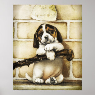 Lolly Puppy Poster