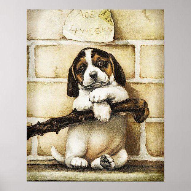 Lolly Puppy Poster (Framsidan)