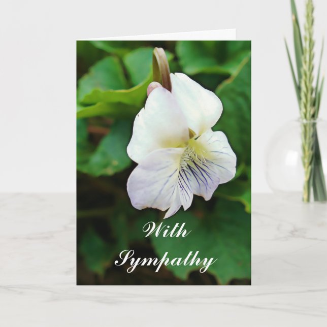 Lolly Violet Sympathy Card Kort (Framsida)